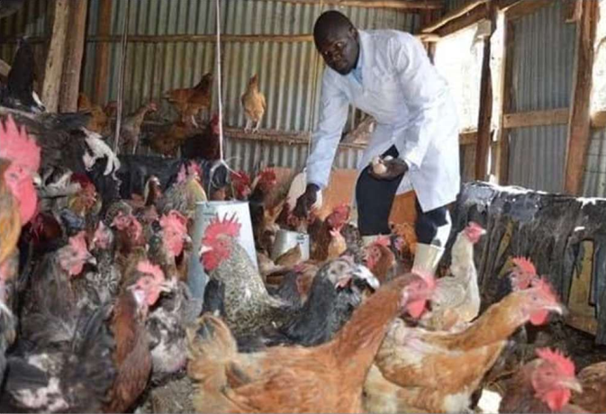Agriculture Development