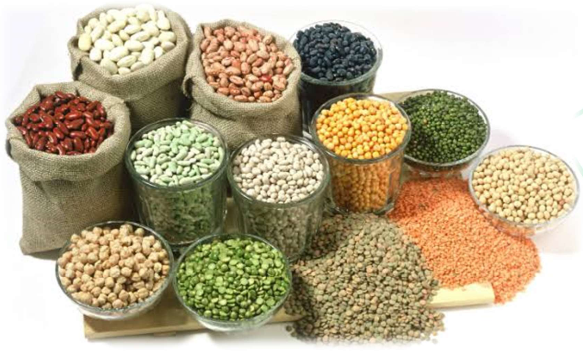 Agro-Processing Facility